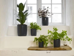 Knabstrup Keramik Syltekrukke 1 L, Antracitgrå -GEJST Butik 12 3