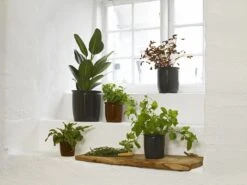 Knabstrup Keramik Syltekrukke 2 L, Brun -GEJST Butik 1312 2