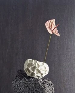 Muubs Soil Krukke 11,5 Cm, Vanilje -GEJST Butik 9490000104 3