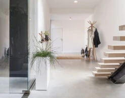 Andersen Furniture Wood Wall Hylde 60 Cm, Eg -GEJST Butik Shelf Wood Wall 10 1